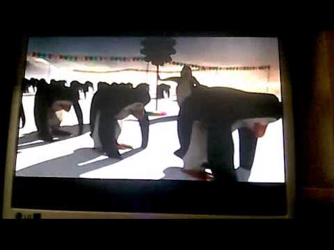 Schiffie & Co - Penguin Dance