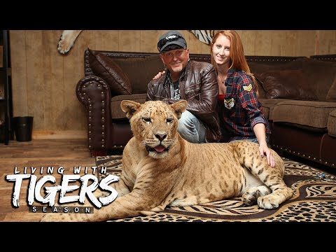 The Man Who Bought Joe Exotic's Zoo | LIVING WITH TIGERS SEASON