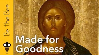 Be the Bee #83 | Made for Goodness