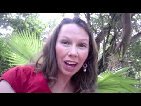 Jan Hoath - Have You Lost Your Muchness?