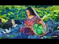 Village Food Channel Indian Kitchen Garden Massive Harvest Fairygardenindia Kitchengardentour