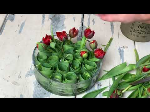 arrangera tulpaner