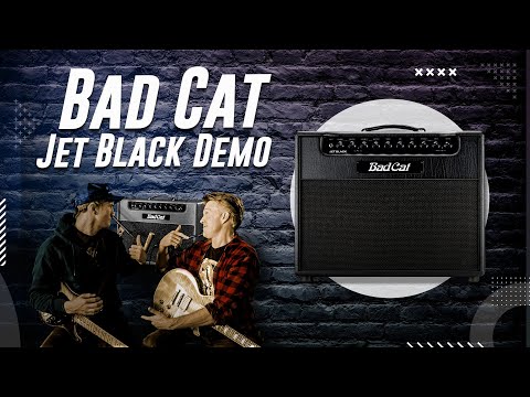 Bad Cat Jet Black Combo 38-Watt 1x12" Celestion Vintage 30 UK Guitar Combo Made in USA image 11