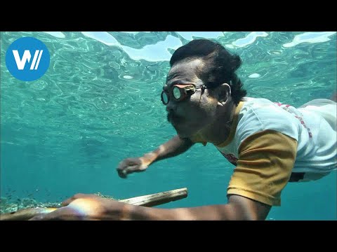 Sulawesi - The Last Sea Nomads (360° - GEO Reportage)
