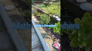 Math Is Literally Everywhere (Spider Web Proof) #mathematics #science #shorts