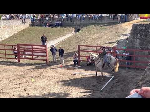 Nicole e Inca - Juniores Internacional