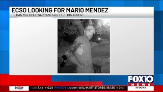 ECSO looking for burglary suspect