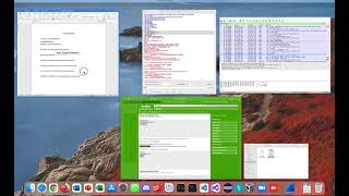 Ann Case Evidence in WireShark