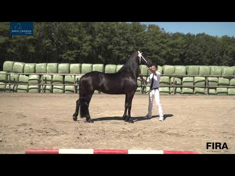 Locatiekeuring stal Spliethof 21-8-2020