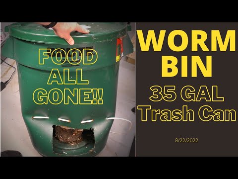 DIY Trash Can Worm Bin - Food All Gone!! 8/22/2022