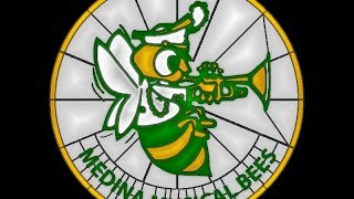 2013 Musical Bees @ OMEA State Marching Band Finals (Stained Glass)