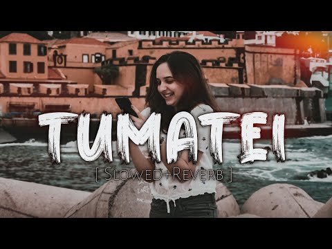 Tumatei [Slowed+Reverb] - Mid Night Feelings | The Amplify Sound