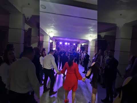 Daniela Han, Vlad Șerban & Formația Rapsodia - Colaj nou 2025 Live / Cover