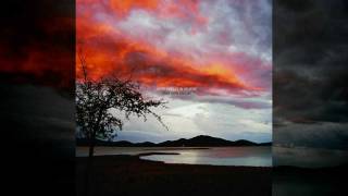 Keep Shelly In Athens - DIY