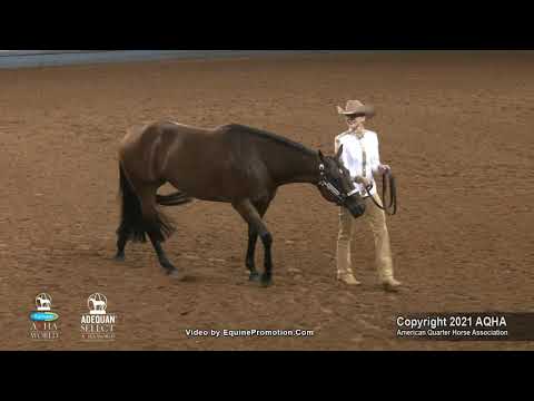 2021 AQHA Amateur Showmanship