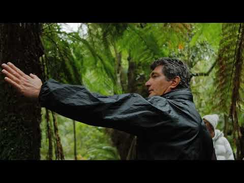 Tall Timbers Adventure Tours