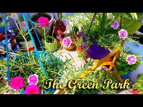 The Green Park Garden