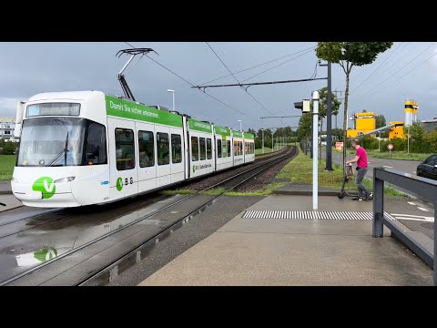 Tram- & Busverkehr in Zürich, Fernsehstudio (25.07.2023)