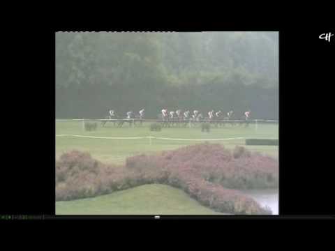 Crackdeloust - Niort 3-Y-O AQPS Flat Race (5 of these horses moved to Ire/UK) [14/06/15]