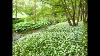 ANOTHER VISIT TO DUNSTER  IN SPRINGTIME