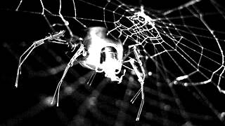 -ESC-FAITH &quot;OBLIVION&quot; electro gothic industrial