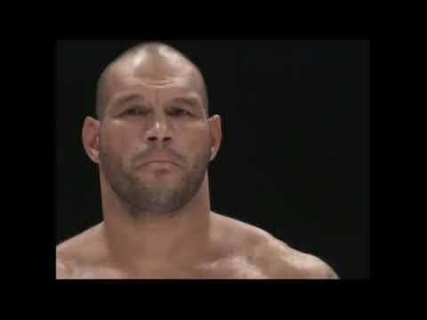 Alexander Emelianenko vs Ricardo Morais. BRUTAL knockout.