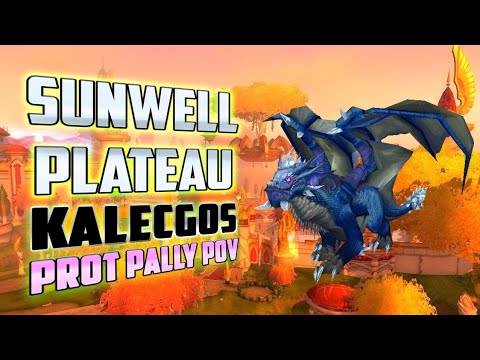 Kalecgos First Kill Prot Paladin POV - TBC Classic
