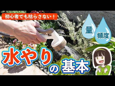 水やりをほとんどせずにプランターに植える植物はどれですか？ローメンテナンス10種！  庭園