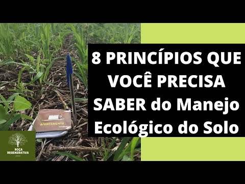 Manejo Ecológico do Solo - 8 princípios que você precisa saber.