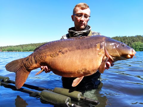 Wygonin i magiczne karpie z wywózki