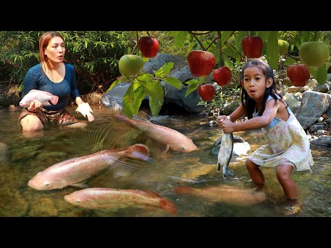 Pick sweet mango &Catch Turtle and fish in river-Cooking Turtle soup spicy recipe +5food of survival