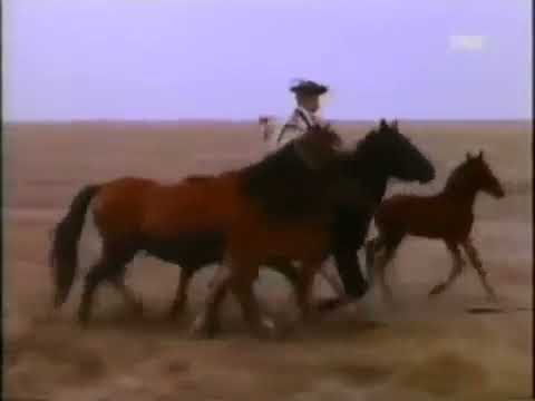 RURAL HUNGARY IN 1939 - A MAGYAR VIDÉK 1939-ben - ENGLISH