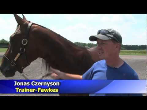 2011 Hambo Contender -- Fawkes