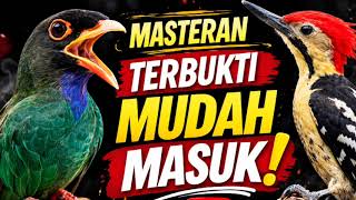 Download lagu Masteran Tengkek Buto Vs Pelatuk Bawang | Tembakan Mewah Pemikat Juri | Dengan Jeda Dan Tanpa Iklan mp3 Download lagu Masteran Tengkek Buto Vs Pelatuk Bawang | Tembakan Mewah Pemikat Juri | Dengan Jeda Dan Tanpa Iklan mp3