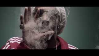 Snoop Lion   Smoke The Weed ft  Collie Buddz Music Video with Lyrics( Official Music Video HD)