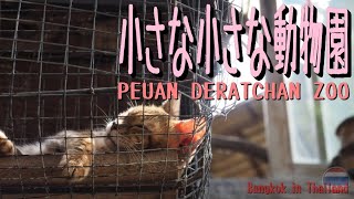 【タイ旅行】『4K動画』街に溶け込むちっちゃな動物園 ビーストフレンズ動物園 @ バーンケーン タイランド