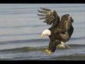 Third Day - "Eagle"