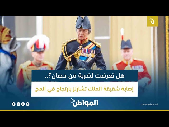 هل تعرضت لضربة من حصان؟.. إصابة شقيقة الملك تشارلز بارتجاج في المخ