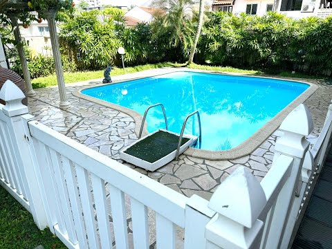 Semi D with swimming pool, Omar Khayyam Avenue, 5 Bedrooms, 3,480 sqft, Semi-Detached House For Rent, by Tim Ong, 25139727 - PropertyGuru.com.sg