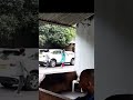 Krithi Shetty Krithishetty Shorts Youtubeshorts