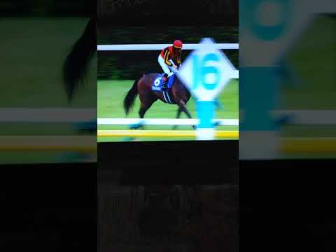 第１６回ヴィクトリアマイル🐎グランアレグリア圧勝‼️