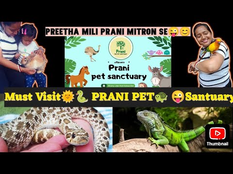 🌞😊Preetha Mili PRANI Mitron Se (PET Shelter ki Masti) 🐇🐢🐍😜