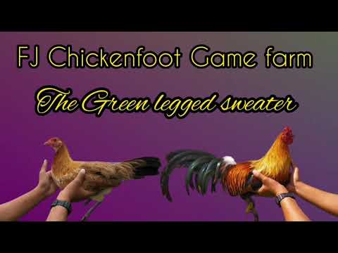 Green legged sweater | FJChickenfoot #SlickLizard #RGA #Rpangandian