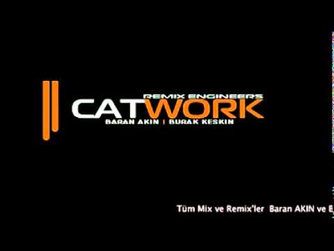 Catwork Remix Engineers Ft.Amari - Never Told You
