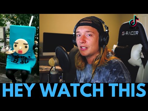 [tik tok tuesday] – DER KÖNIG IST ZURÜCKGEKEHRT #43