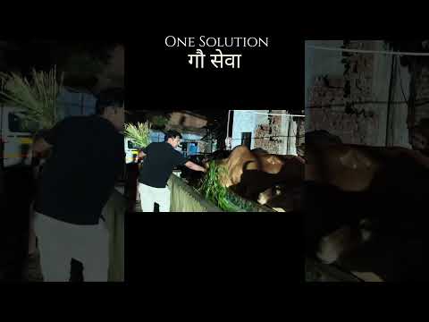 गौ माता की सेवा ही सबसे बड़ी सेवा है #gauseva #gaumata #gurupushya #lalgudi #purushartha #puran