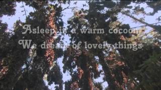 Owl City - Butterfly Wings Lyrics [Full HD]