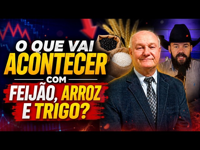 Falta de Oferta no Agro: O que vai acontecer com Feijão, Arroz e Trigo?