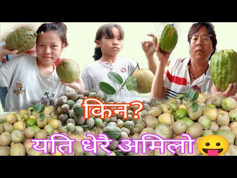 Gharmai Amilo Organic  Chuk (अर्गानिक चुक)Banaune Tarika❤️🙏