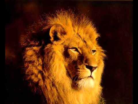 Prince Alla & Jah Shaka - Togo the Lion